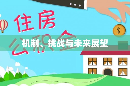 福泉机制、挑战与未来展望