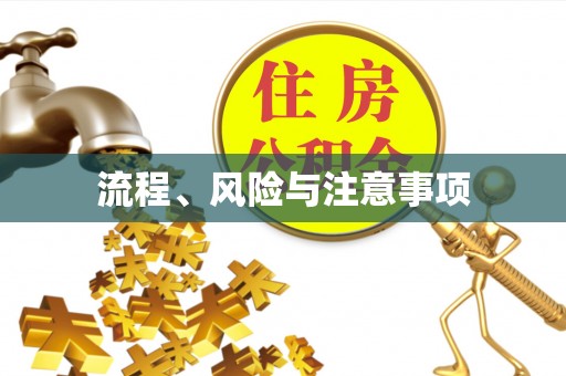 福泉流程、风险与注意事项