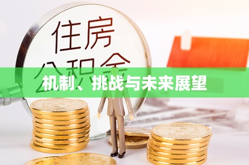 福泉机制、挑战与未来展望